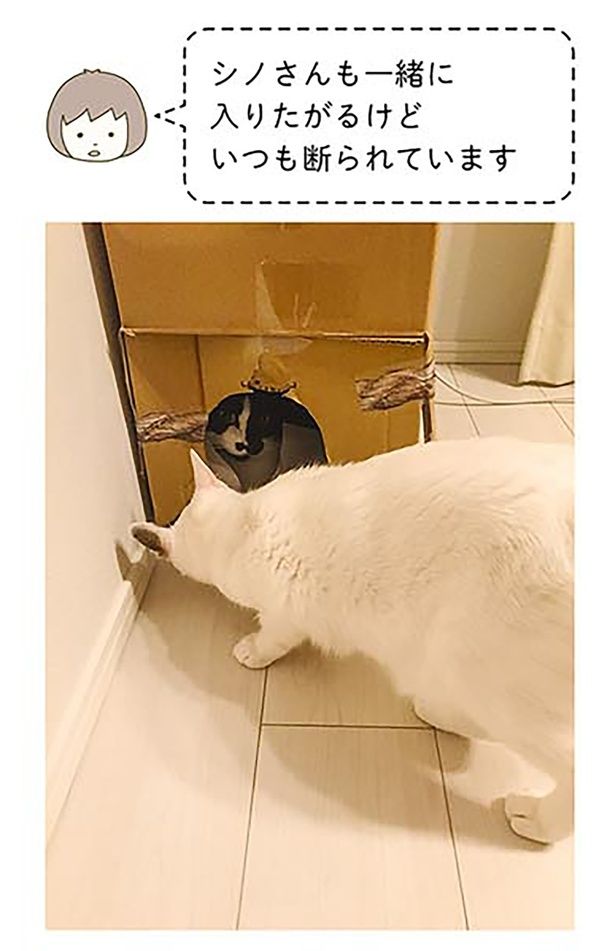 いつも断られています （C）卵山玉子／KADOKAWA