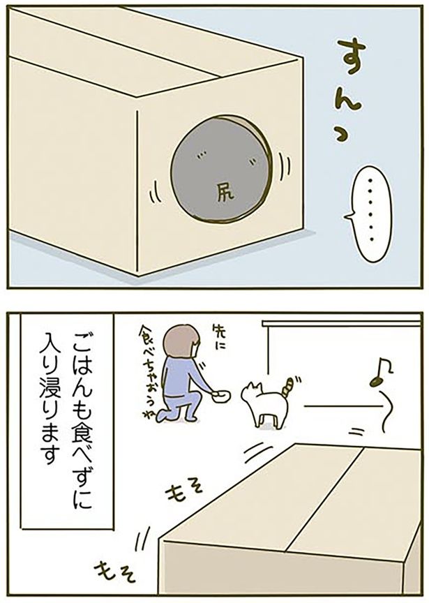 すんっ （C）卵山玉子／KADOKAWA