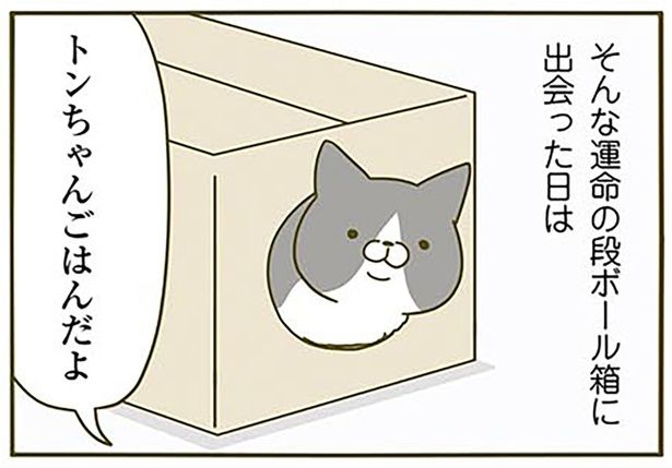 運命の段ボール箱 （C）卵山玉子／KADOKAWA