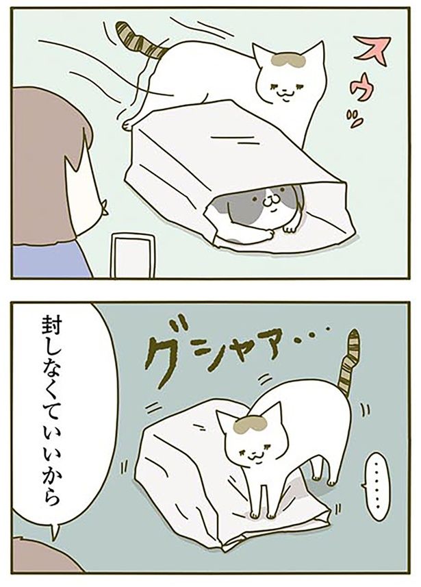 封しなくていいから （C）卵山玉子／KADOKAWA
