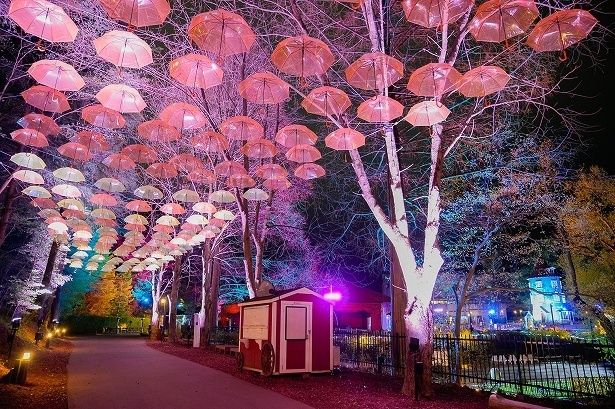 ムーミン谷エリアの明るく楽しいライトアップ