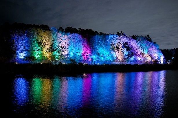 『ムーミン谷の彗星』をテーマにしたライトアップ