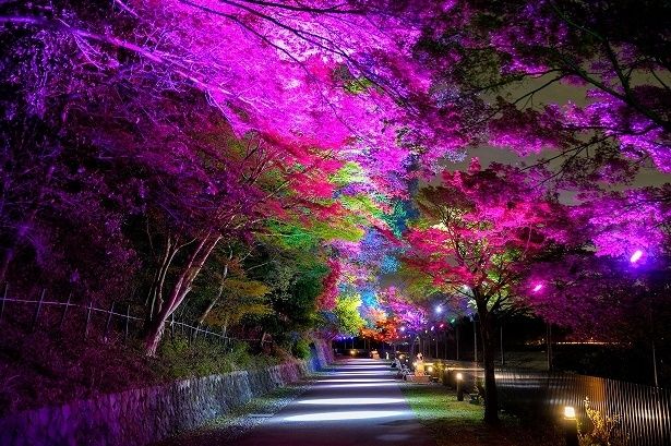 「アンブレラスカイ」もライトアップ