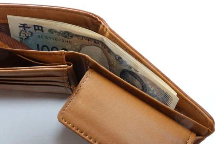 ダイソーの2つ折財布 レザー調の収納部分