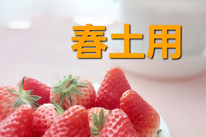 季節の変わり目…疲れがたまっていませんか？おいしい食事で心身を整えて！