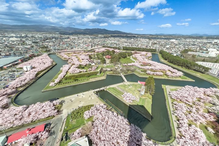 北海道｜五稜郭の桜