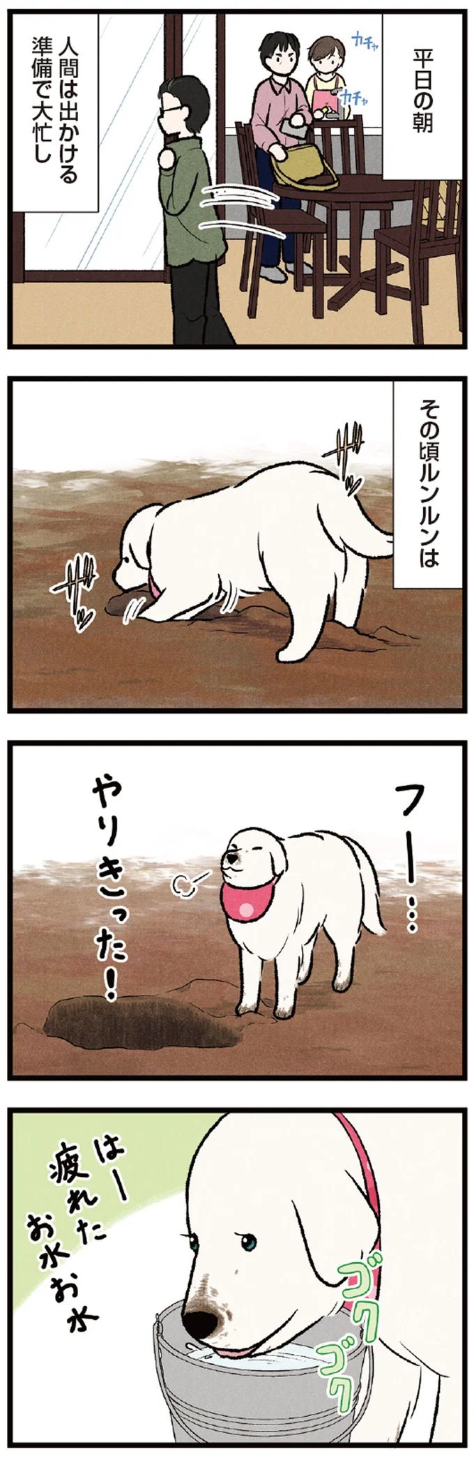 05-01.webp