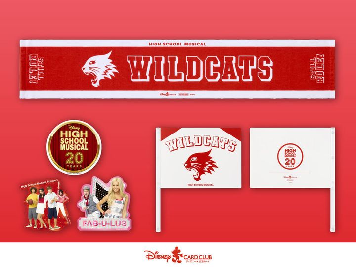 【ディズニー★JCBカード】会員限定オリジナルグッズ 