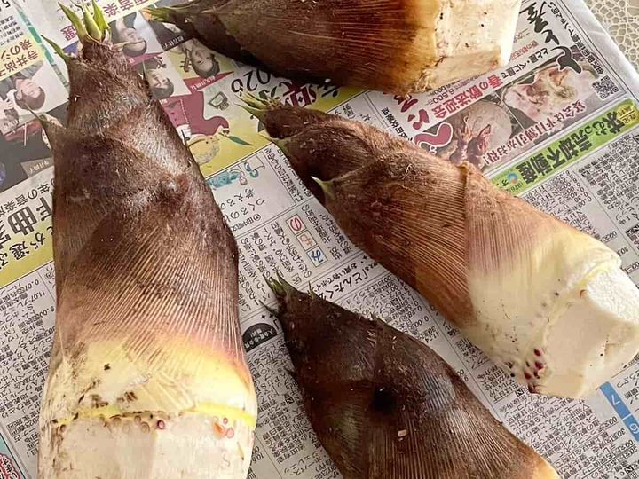 昆布だしのたけのこごはん