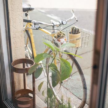 不動前・北欧風インテリアのカフェで、コーヒーとキャロットケーキ：DAY COFFEE【ファージーの特等席 vol.36】