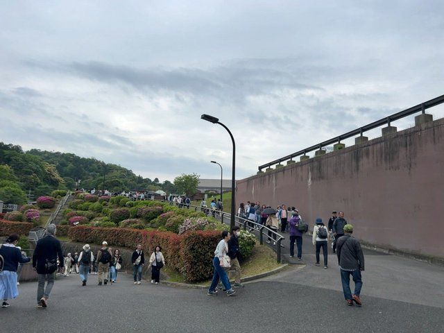  (308547)