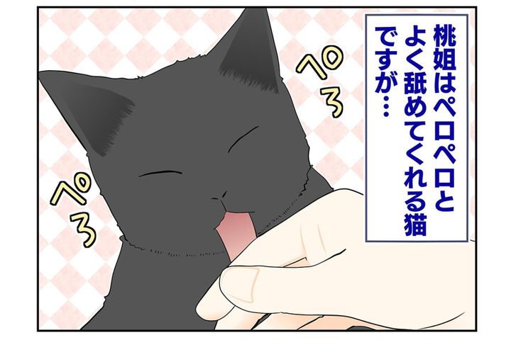 【マンガ・老猫日誌＃55】もしかして桃姐に嫌われた！？〜19歳の元保護猫・桃姐