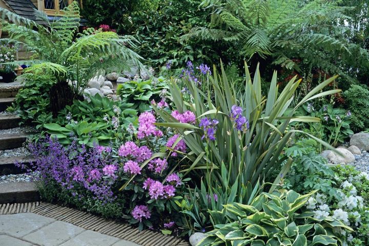 庭と寄せ植えが見違える！【リーフプランツ】3タイプとおすすめ9選［ガーデニング］