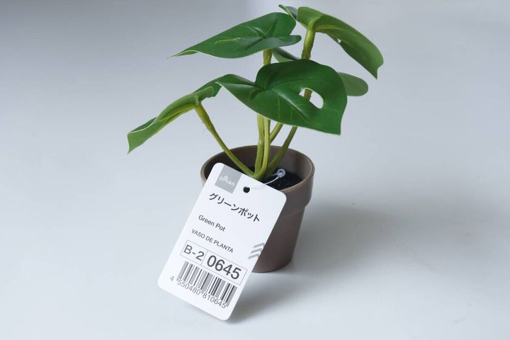 グリーンポット パッケージ