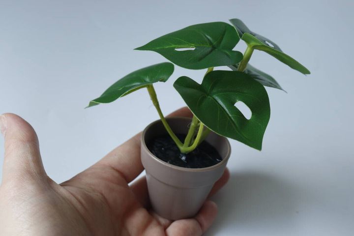 グリーンポット サイズ感