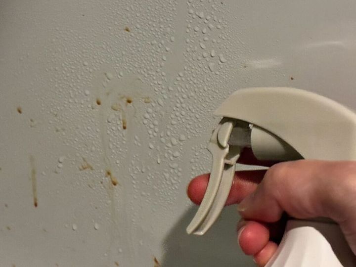 「Shell we clean?」「オーガニック」