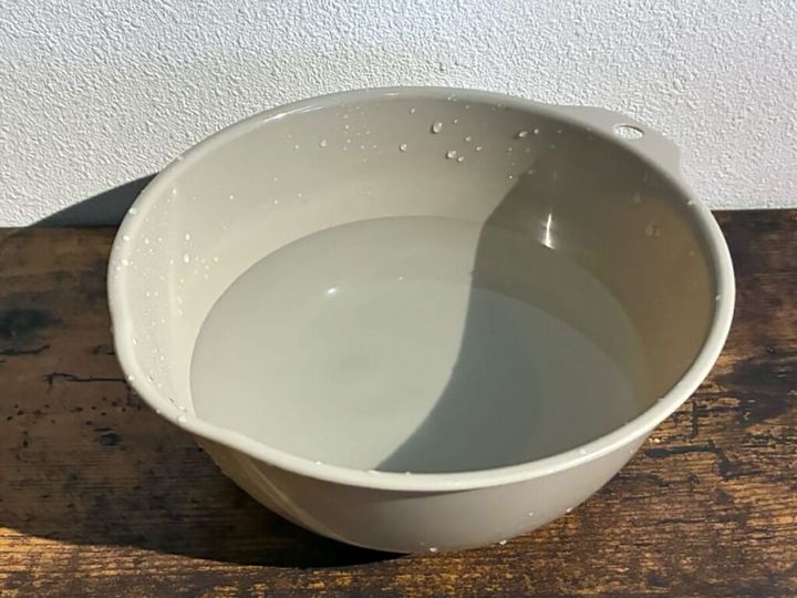 「Shell we clean?」「オーガニック」