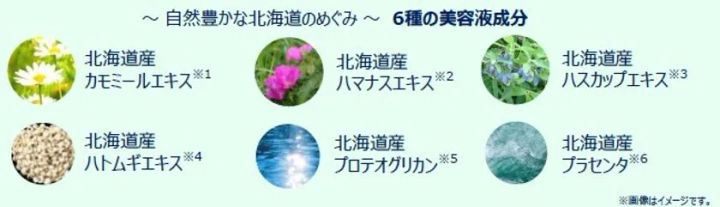 北海道産6種の美容液成分（カモミールエキス・ハマナスエキス・ハスカップエキス・ハトムギエキス・プロテオグリカン・プラセンタ）を各植物・原料写真付きで一覧した成分紹介インフォグラフィック