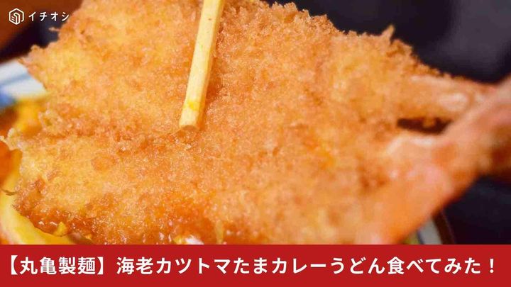 丸亀製麺「海老カツトマたまカレーうどん」登場
