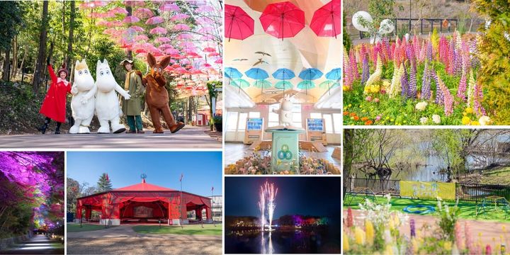 湖上花火＆ライトアップ