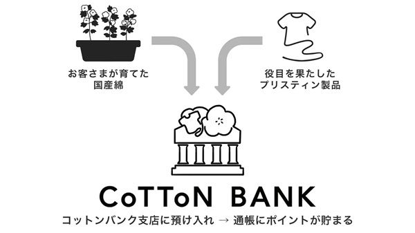 【高知県黒潮町】アバンティの国産綿プロジェクト『DoCoTToN』が砂浜美術館「Tシャツアート展」に登場