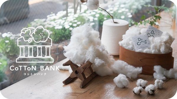 【高知県黒潮町】アバンティの国産綿プロジェクト『DoCoTToN』が砂浜美術館「Tシャツアート展」に登場