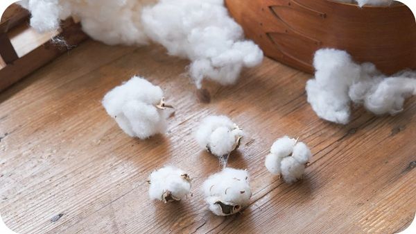 【高知県黒潮町】アバンティの国産綿プロジェクト『DoCoTToN』が砂浜美術館「Tシャツアート展」に登場