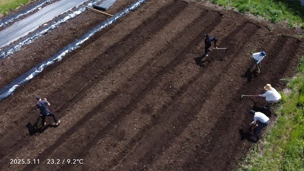 【高知県黒潮町】アバンティの国産綿プロジェクト『DoCoTToN』が砂浜美術館「Tシャツアート展」に登場