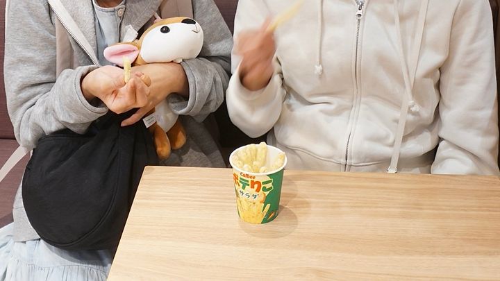 京都から広島で家族４人のバックパック旅。初日は宮島に行き、食べ歩きや宮島ロープウェーに乗り、景色を満喫。広島焼きはみっちゃんへ。