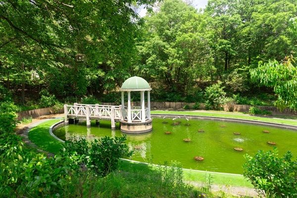 【広島県三原市】広島空港近くの庭園リゾート「フォレストヒルズガーデン」で本格洋食ランチがスタート