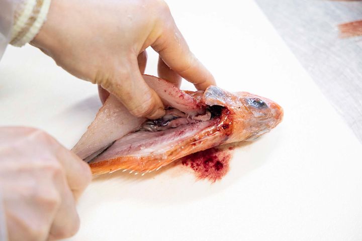 さらに深く包丁を入れる