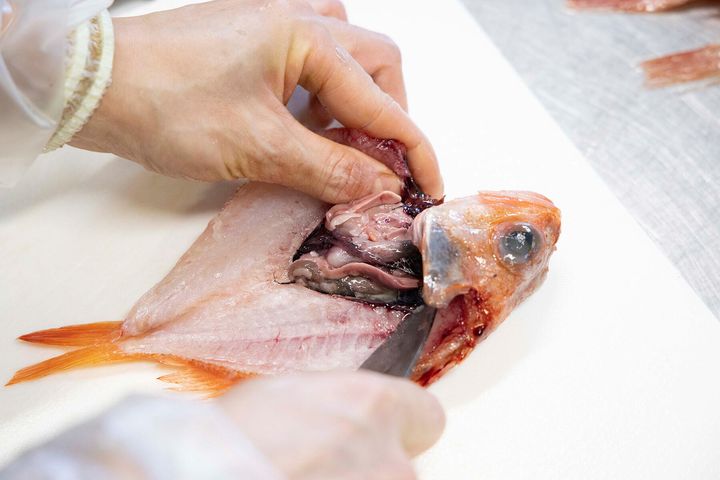 手と包丁で身を押し開く