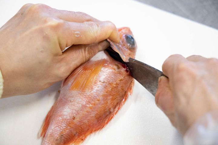 首の後ろから尾まで切り目を入れる