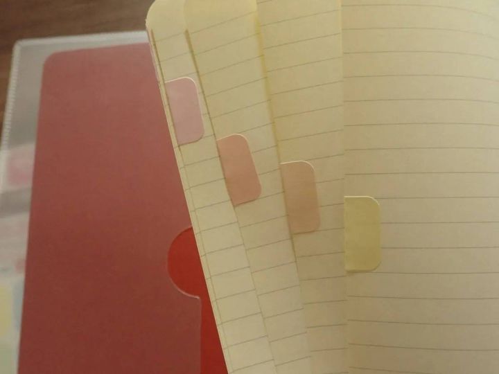 DAISO(ダイソー)：インデックスシール(くすみカラー、60枚)