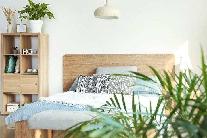 寝室 出世運 上がる 観葉植物