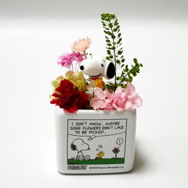 「スヌーピーリトルガーデン (HUG)」(2750円)