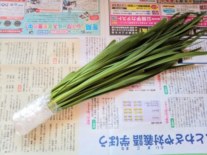 「ニラだめ常習犯」に捧げます！！【最長1ヶ月OK】すぐ食べないならゼッタイやるべき冷蔵＆冷凍保存テク