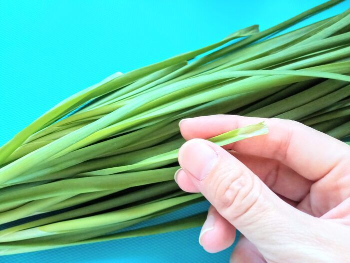 「ニラだめ常習犯」に捧げます！！【最長1ヶ月OK】すぐ食べないならゼッタイやるべき冷蔵＆冷凍保存テク