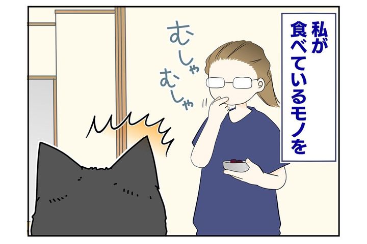 【マンガ・老猫日誌＃56】老猫にとってのおいしいおやつ〜19歳の元保護猫・桃姐