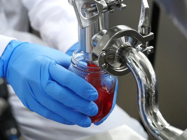 【長野県飯綱町・長野市】長野県産いちご「紅ほっぺ」のジャムがサンクゼール本店・門前店で数量限定発売！