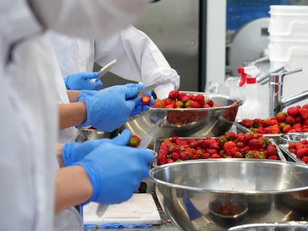 【長野県飯綱町・長野市】長野県産いちご「紅ほっぺ」のジャムがサンクゼール本店・門前店で数量限定発売！