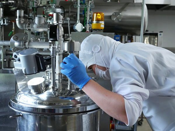 【長野県飯綱町・長野市】長野県産いちご「紅ほっぺ」のジャムがサンクゼール本店・門前店で数量限定発売！