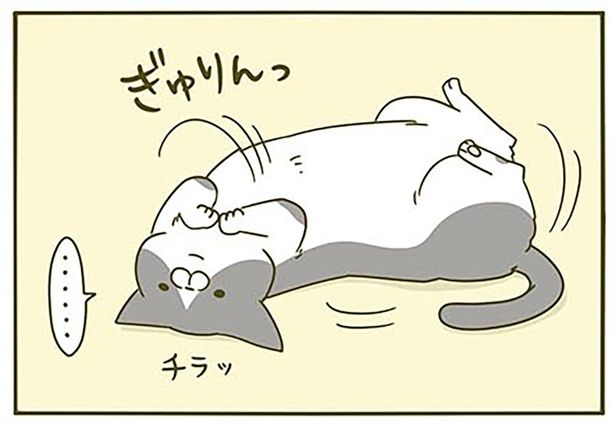 チラッ （C）卵山玉子／KADOKAWA