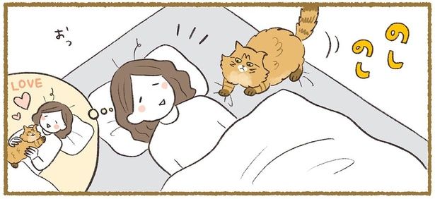 のしのし （C）ふじもりはる／KADOKAWA