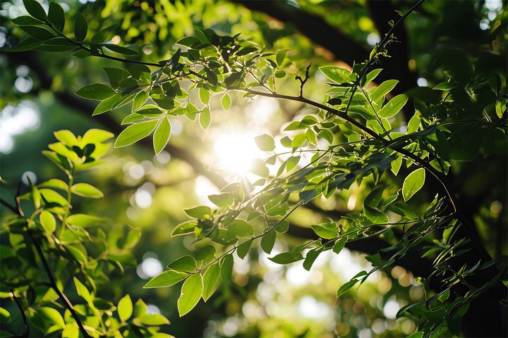 2026年5月の運勢（12星座別）