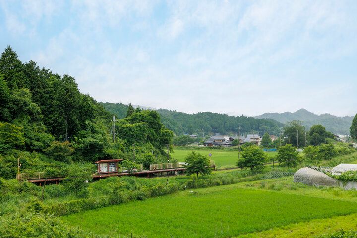 焼きものの里・信楽、窯元めぐりやランチ＆スイーツを楽しむ癒しの旅へ