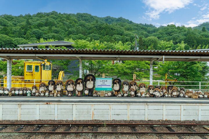 焼きものの里・信楽、窯元めぐりやランチ＆スイーツを楽しむ癒しの旅へ