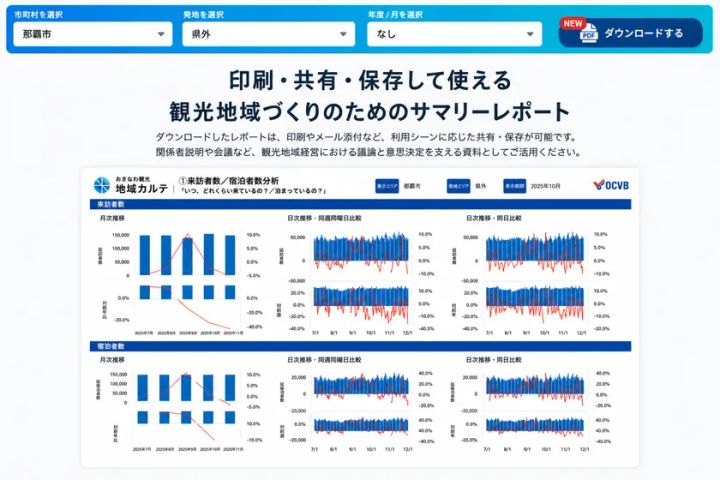A3形式でまとめられたPDFサマリー版のイメージ