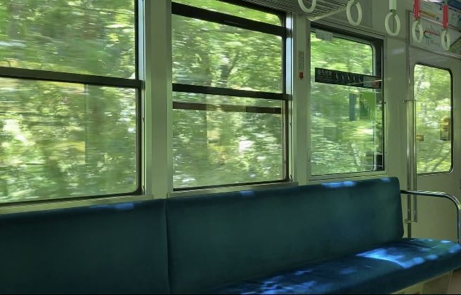 電車の車窓から眺める新緑の景色
