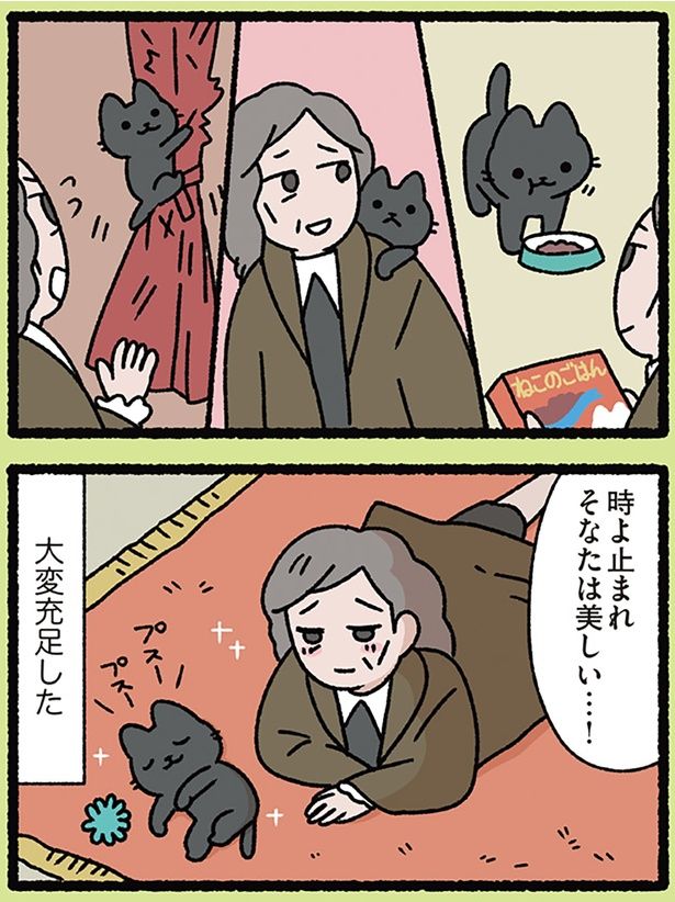人生にはねこが必要 （C）ぱんだにあ／KADOKAWA